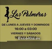 Puta photo 4