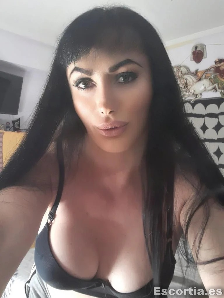 Trans 28 escort Pamplona