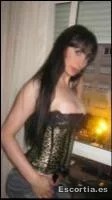 Trans 28 photo 6