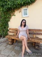 Trans 33 photo 6
