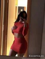 Ariel photo 8