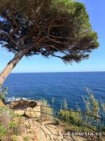 Puta photo 2