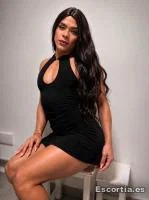 Nicol photo 4