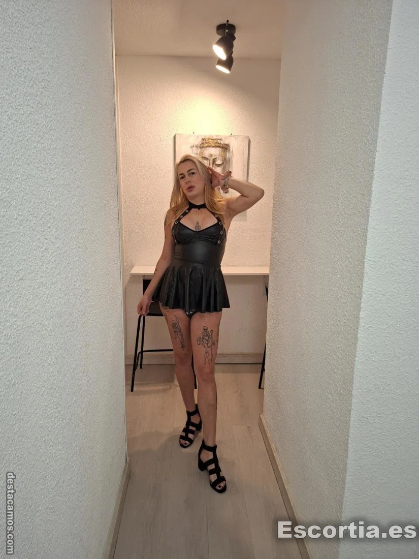Sofy photo 5