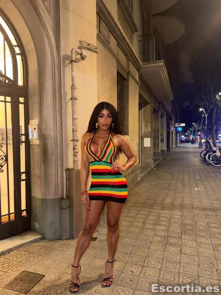 Trans 21 photo 7