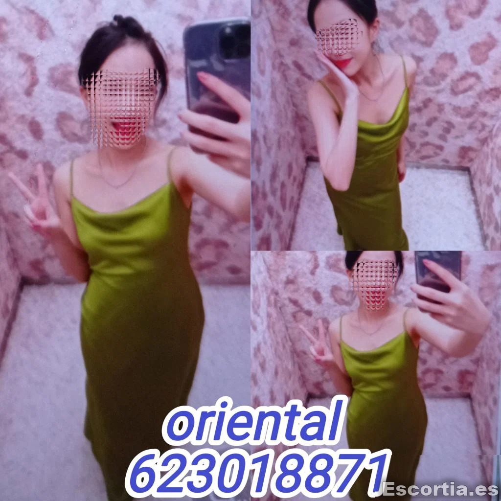 Escort 29 photo 3