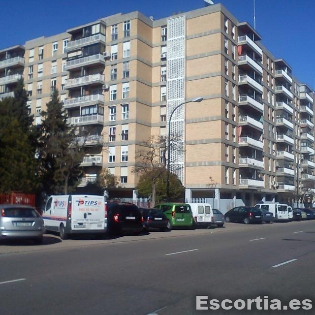Señorita latina 24 escort Zaragoza