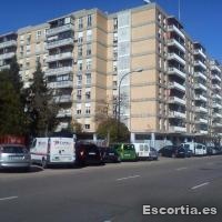 Señorita latina 24 photo 2