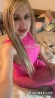 Trans 33 photo 8
