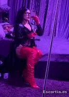 Trans 25 photo 6
