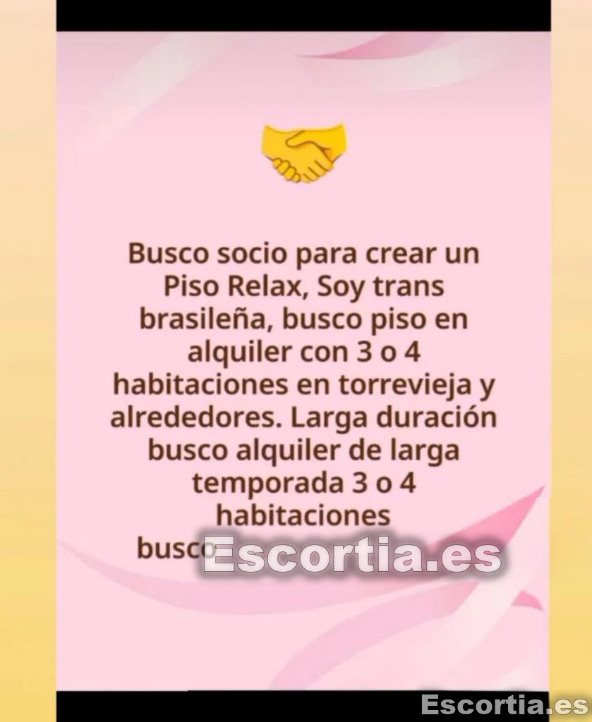 Transexual photo 3