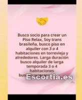 Transexual photo 4