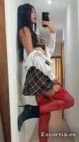 Trans 24 photo 2