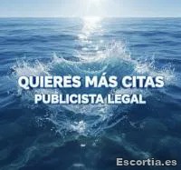Publicista photo 3