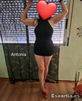 Antonia photo 6