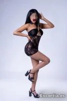 Ari photo 4