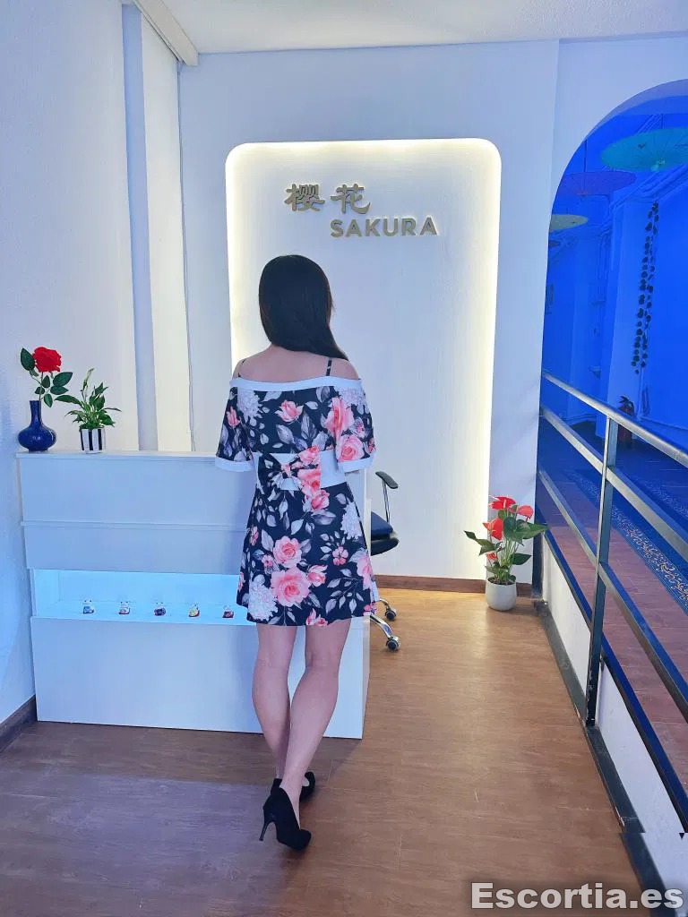 Puta escort Madrid