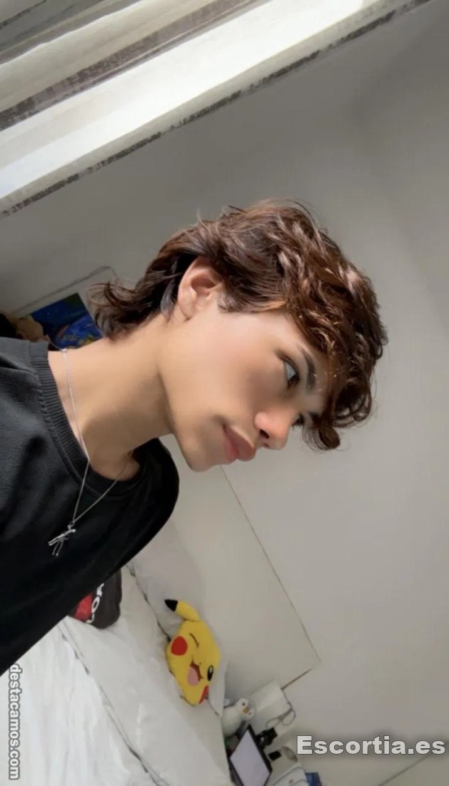 Noah photo 5