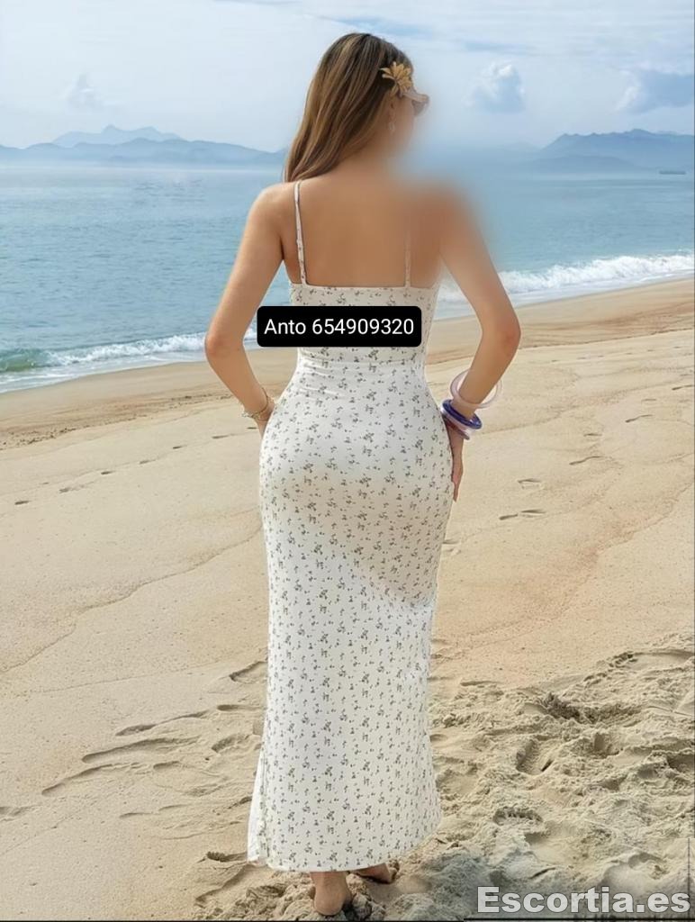 Antonella escort Alicante