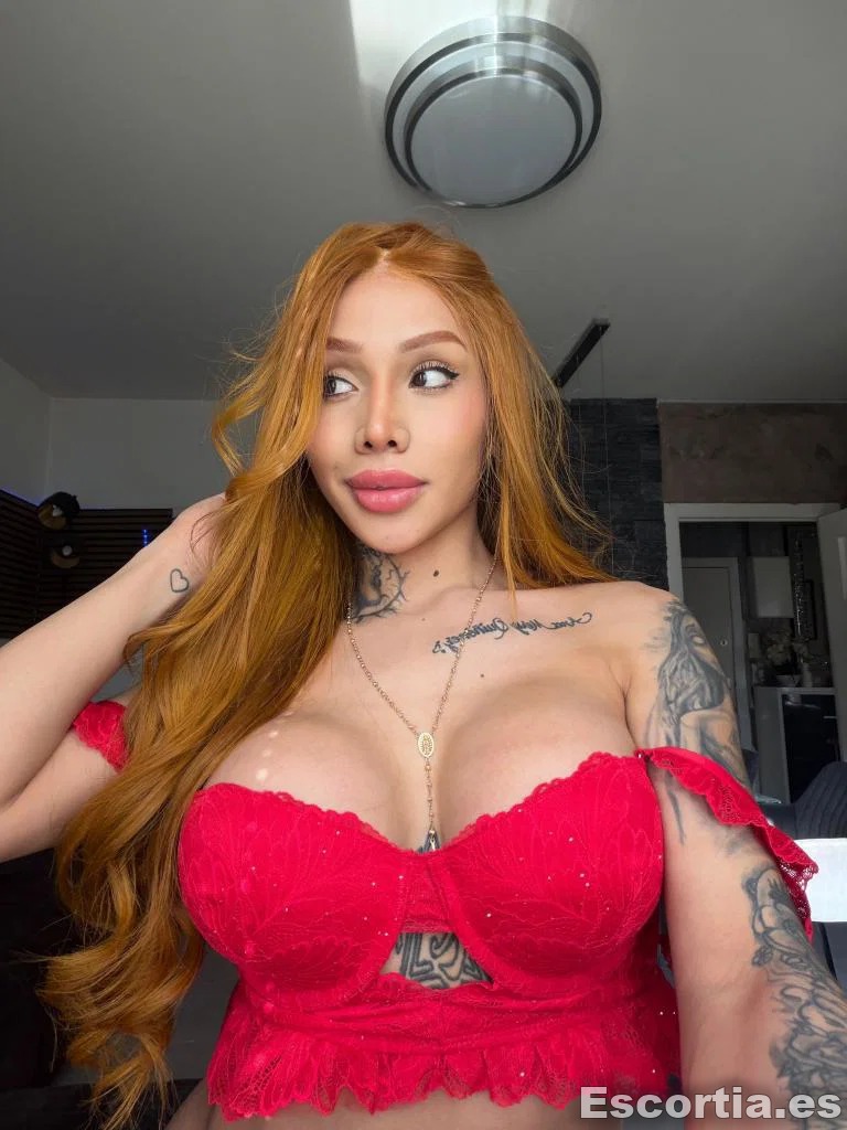 Travesti 24 photo 3
