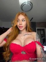 Travesti 24 photo 4