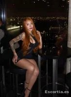 Travesti 24 photo 8