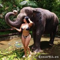 Escort photo 8