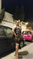 Trans 35 photo 6