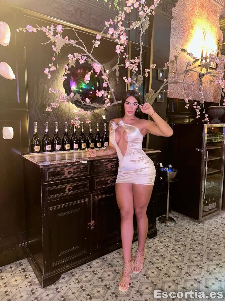 Travesti 27 photo 3