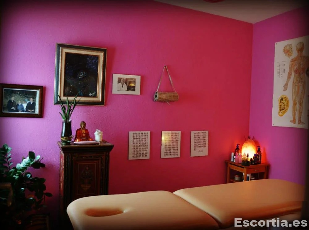 Trans escort Zaragoza