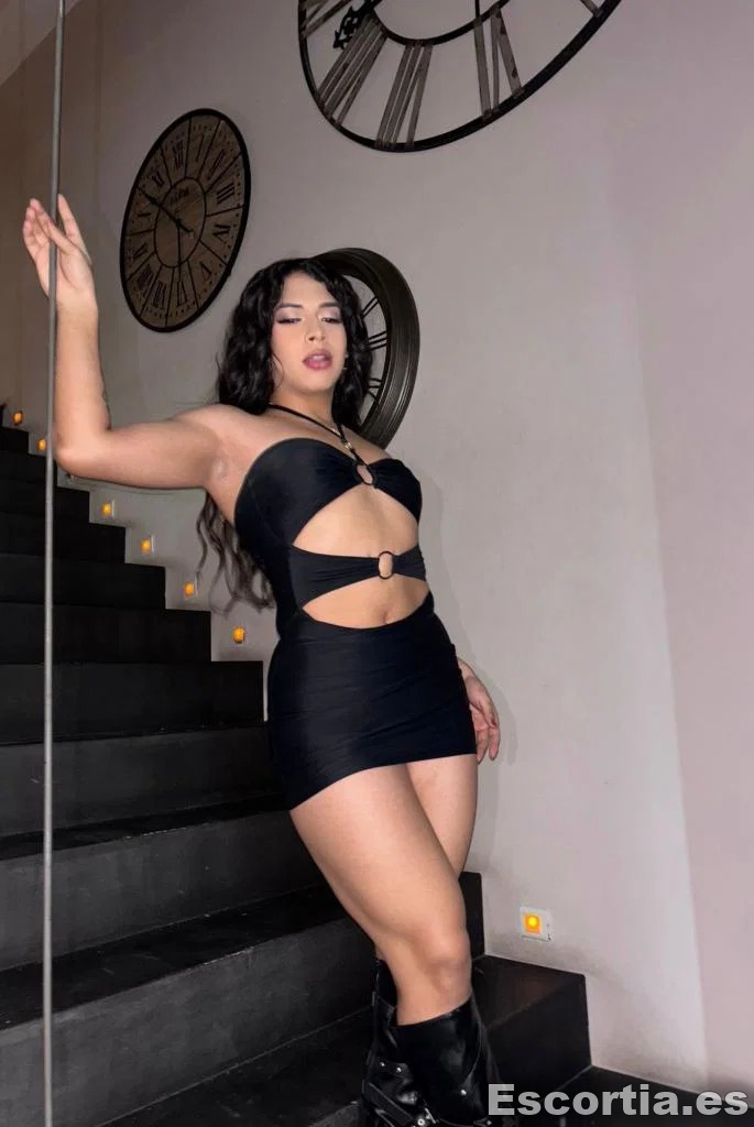 Travesti 21 photo 5