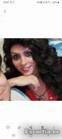 Travesti 29 photo 8