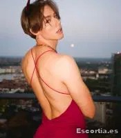 Sofi photo 8