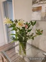 Puta photo 6