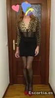 Trans 48 photo 2