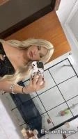 Trans 25 photo 6