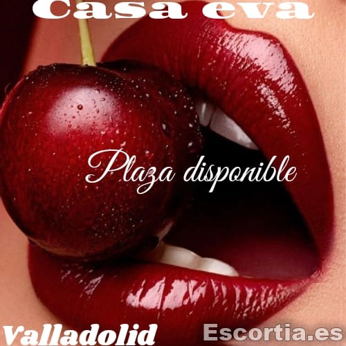 Escort latina 22 escort Valladolid