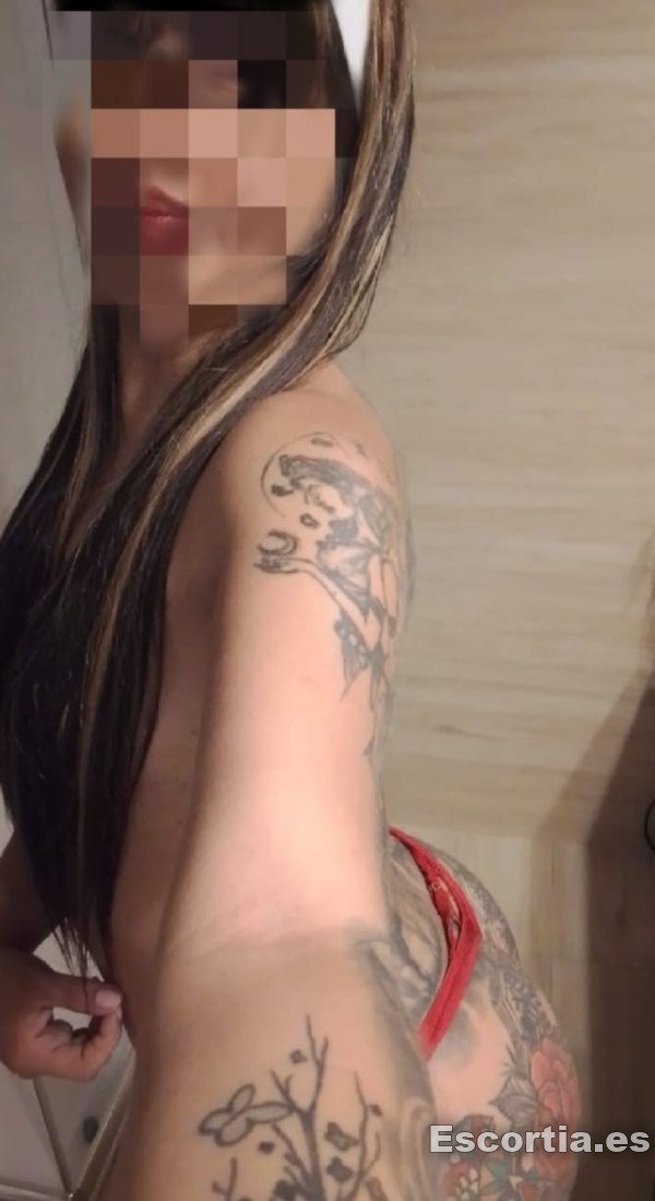 De Regreso photo 5