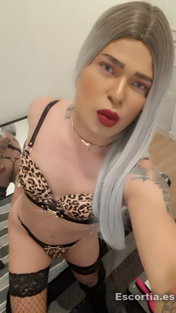 Transexual colombiana 25 photo 2