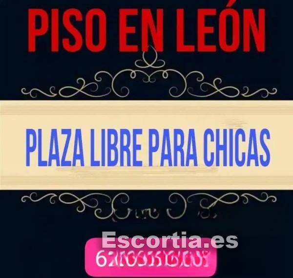 Escort española 35 escort Valladolid