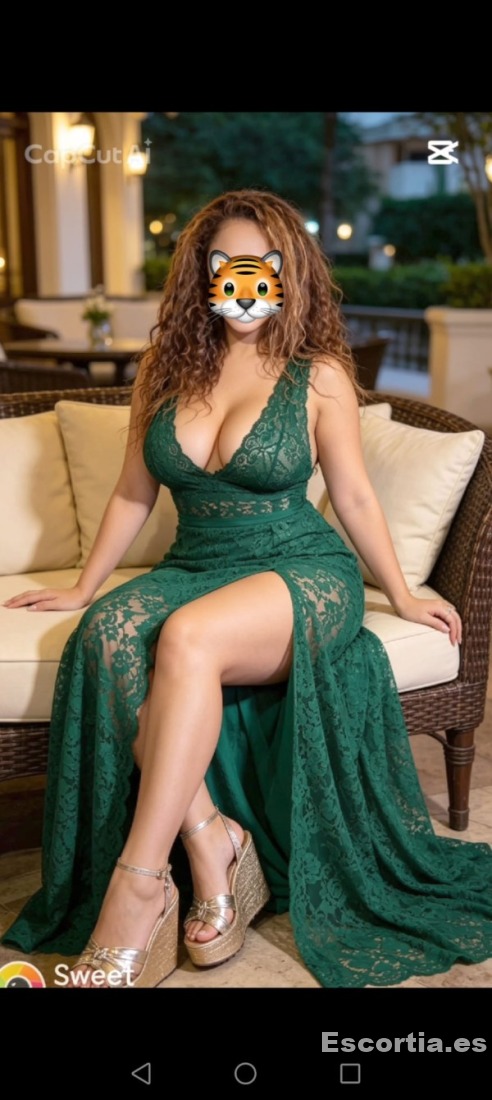 Rosa photo 4