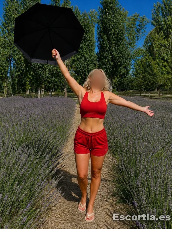 Sofi photo 3