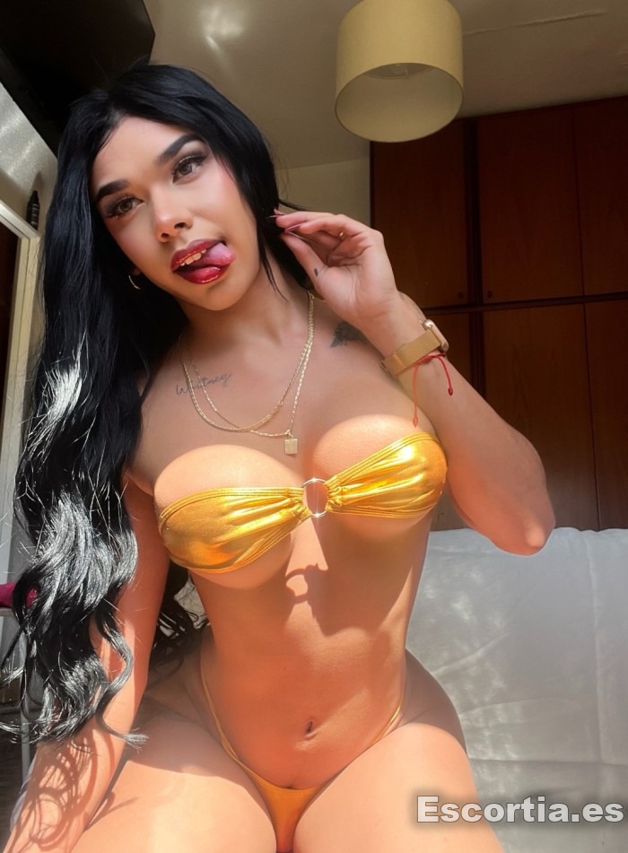 Trans colombiana 23 photo 4