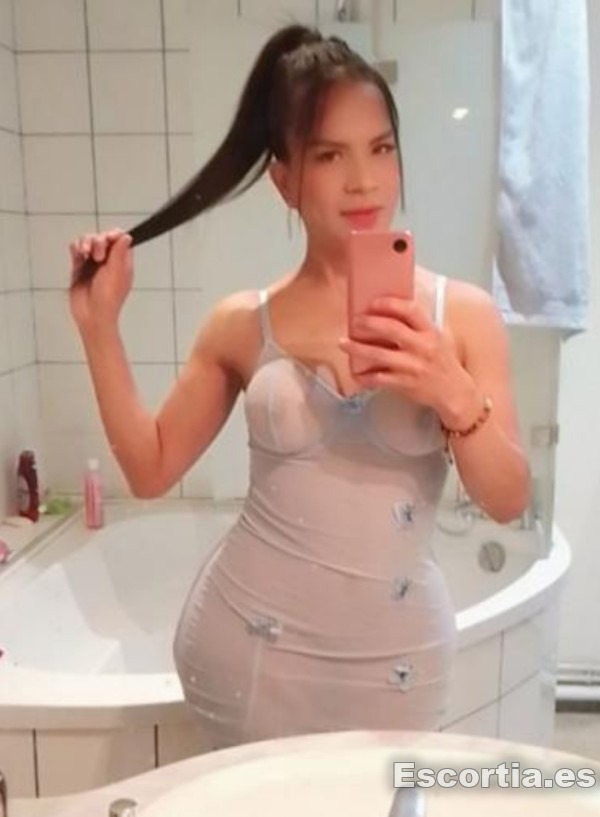 Trans latina 37 photo 5
