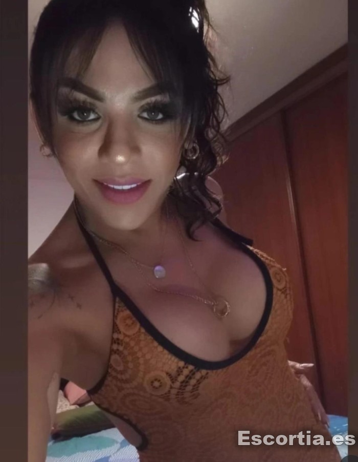 Trans venezolana 29 photo 4