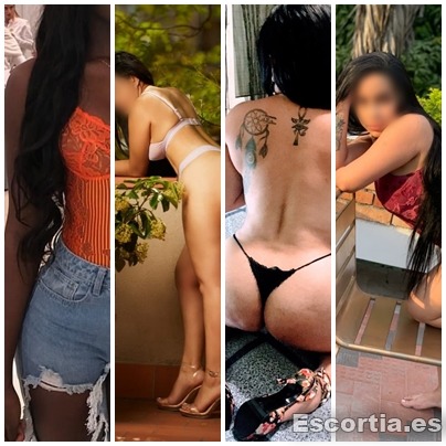 Transexual latina 19 photo 3