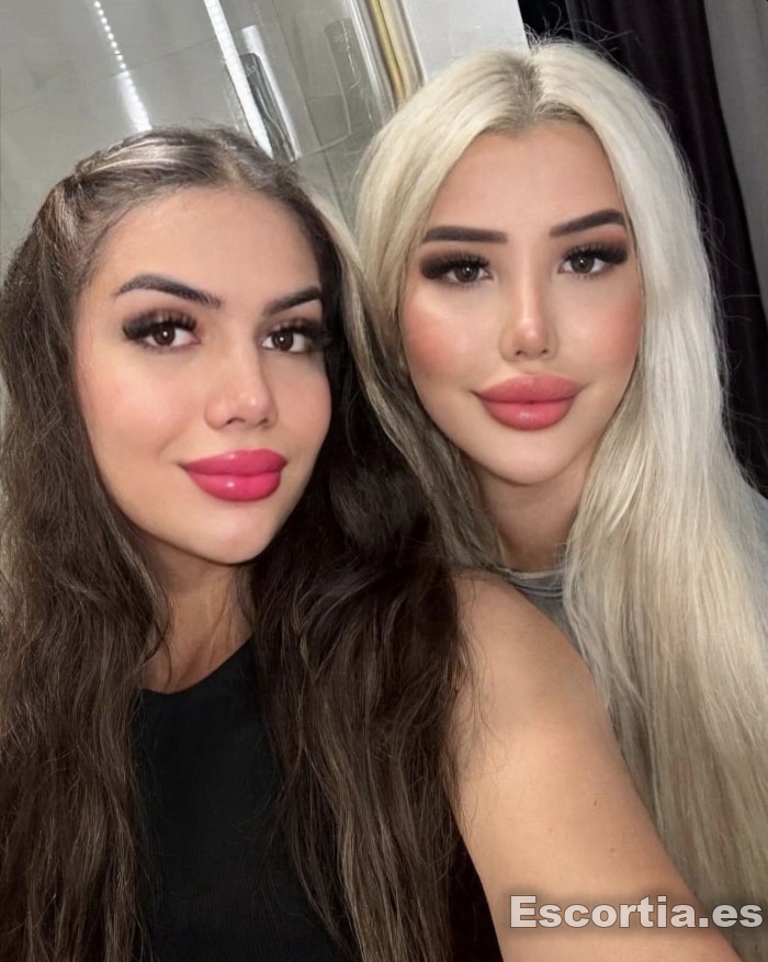 Trans latina 26 photo 2