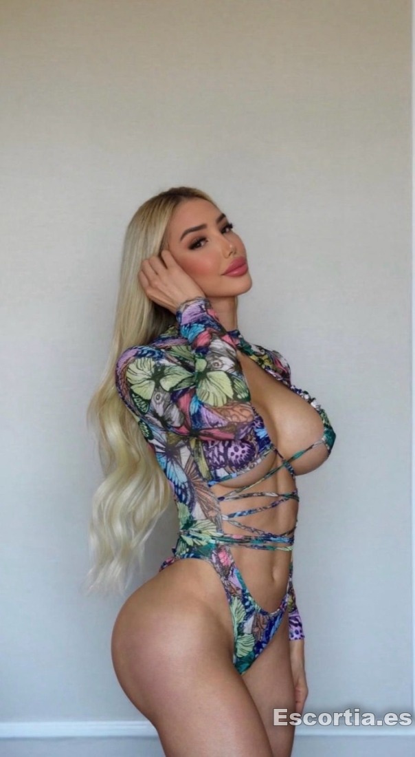 Trans latina 26 photo 5