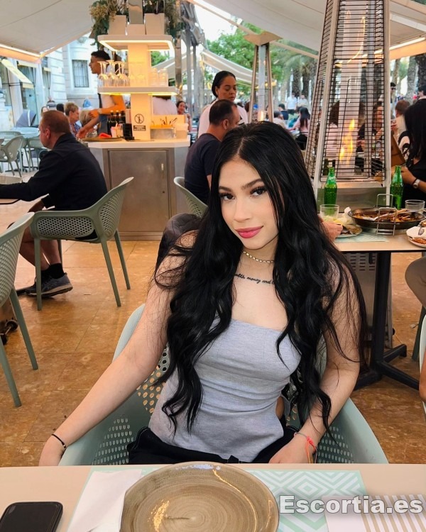 Trans venezolana 20 photo 2
