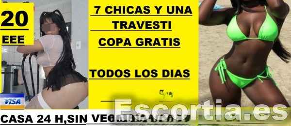 Travesti brasileña 22 photo 4